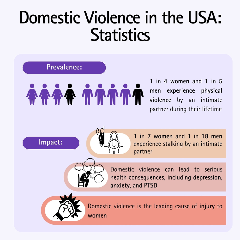 Domestic Violence in The USA