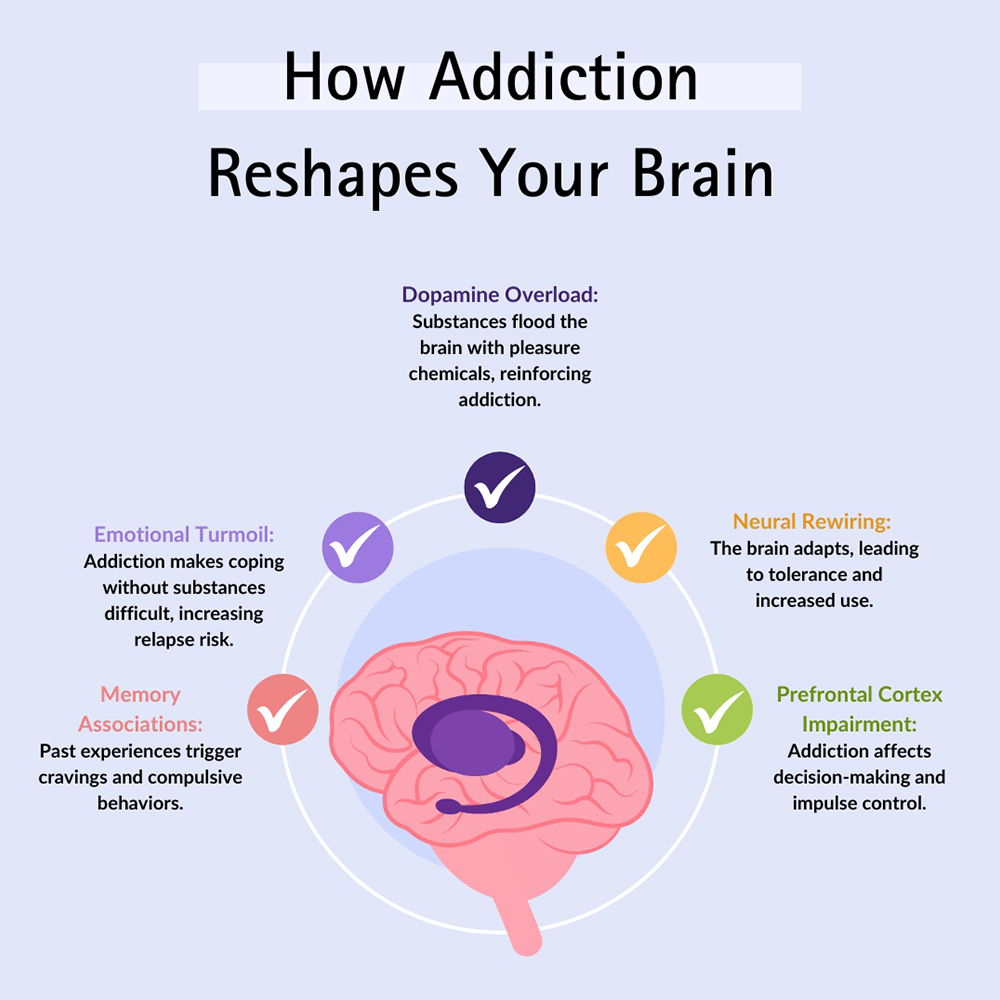 How Addiction Reshapes Your Brain